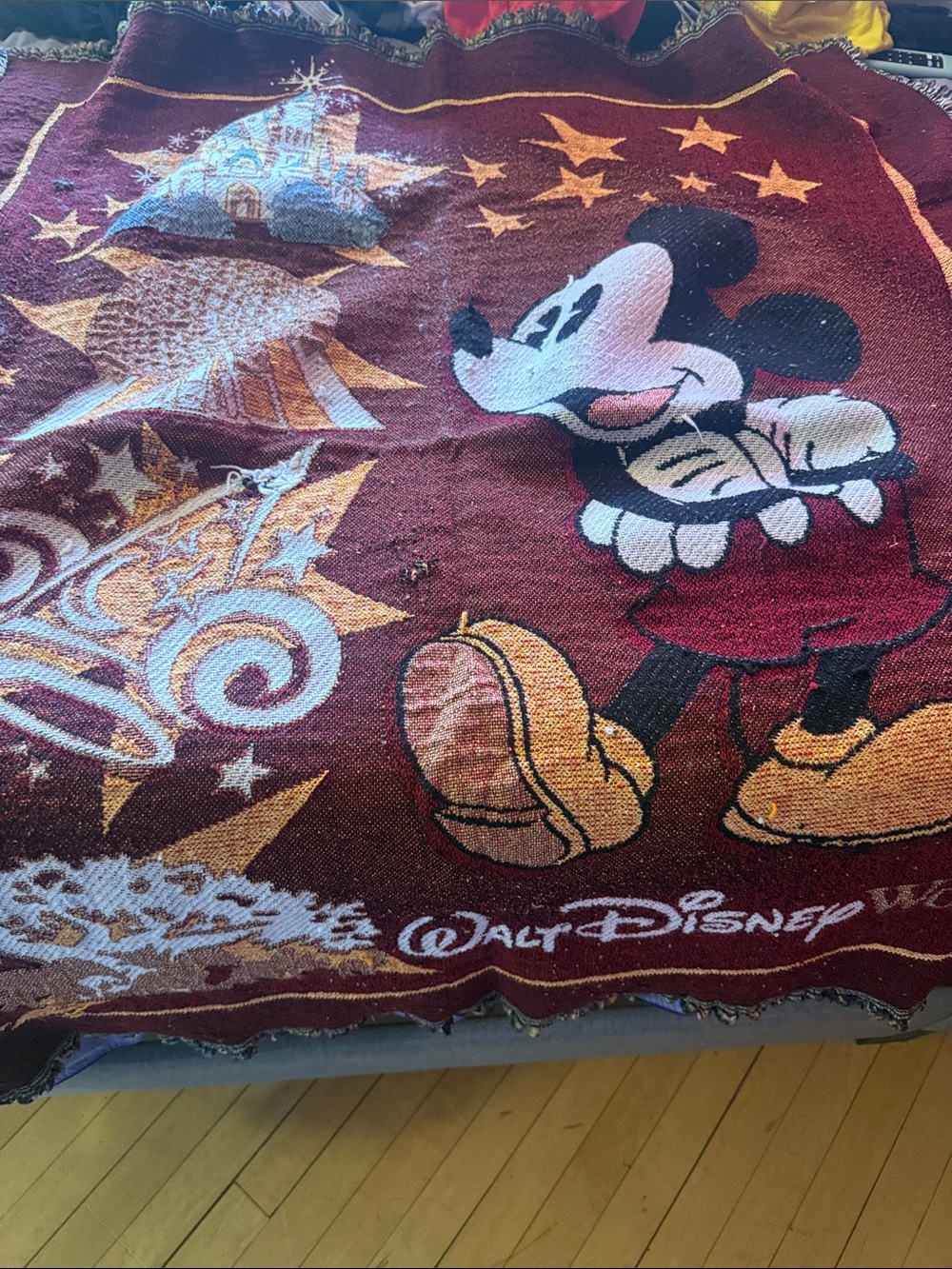 Disney world blanket